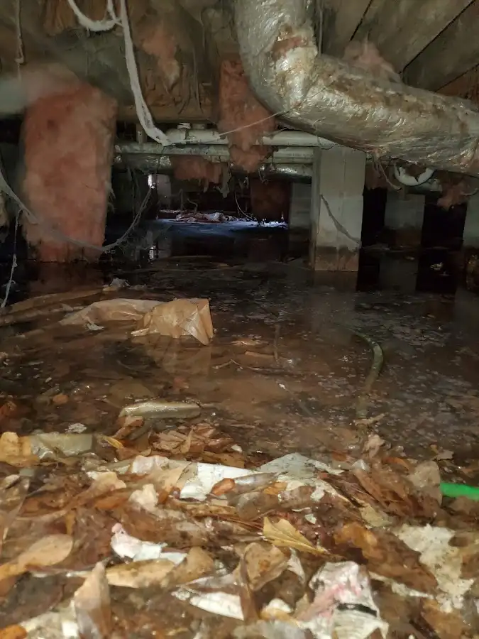 Crawl space flood assessment for Leak Detection & Repair in Long View